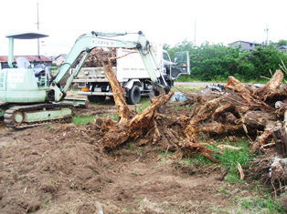 �����̑����H���@���ؔ��̐ύ��݉^�������A�����H��