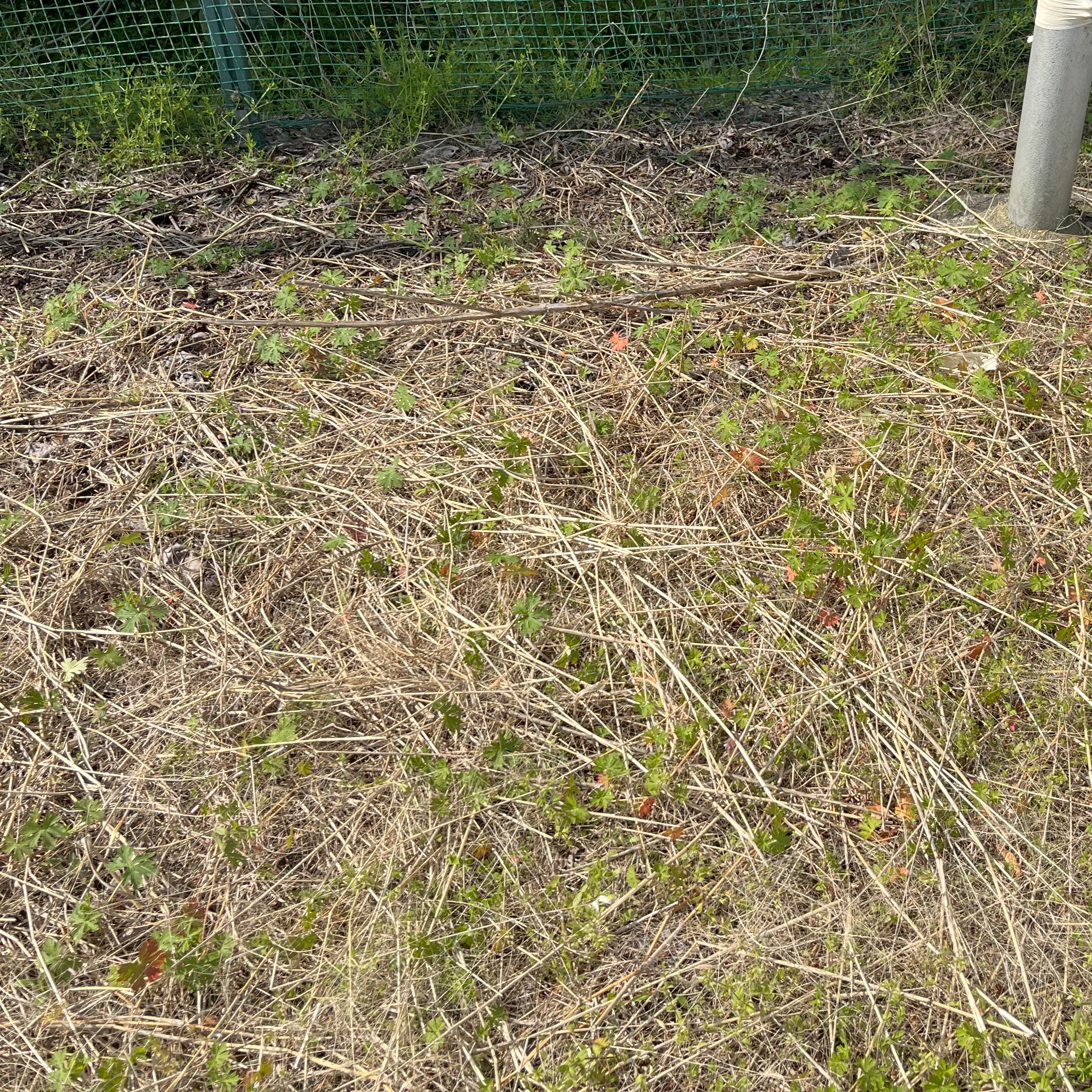 �h�����}�������O�d���O�d�S�Ԗ쒬�V�H�@